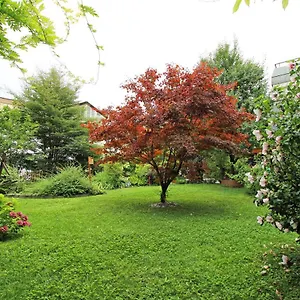 Apartmán Nigler, Innsbruck